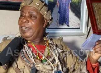 Reganok Day Prophecy: More elites to go before December 2020 — Egbeji Oloogun